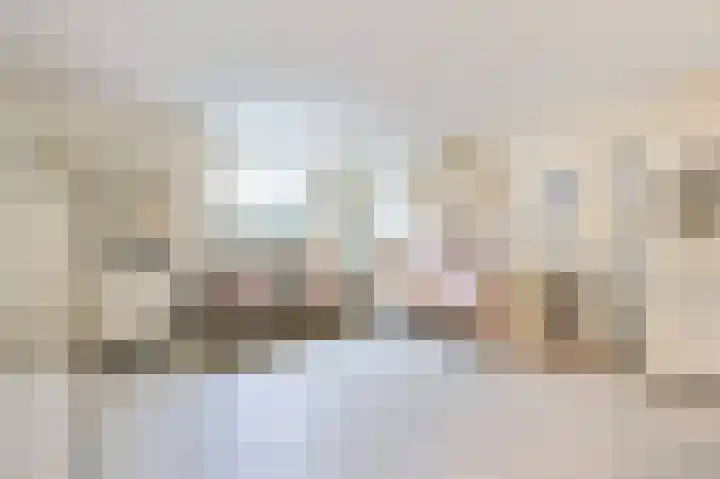 Vrije Heerlijkheid 77 Assendelft thumbnail 8