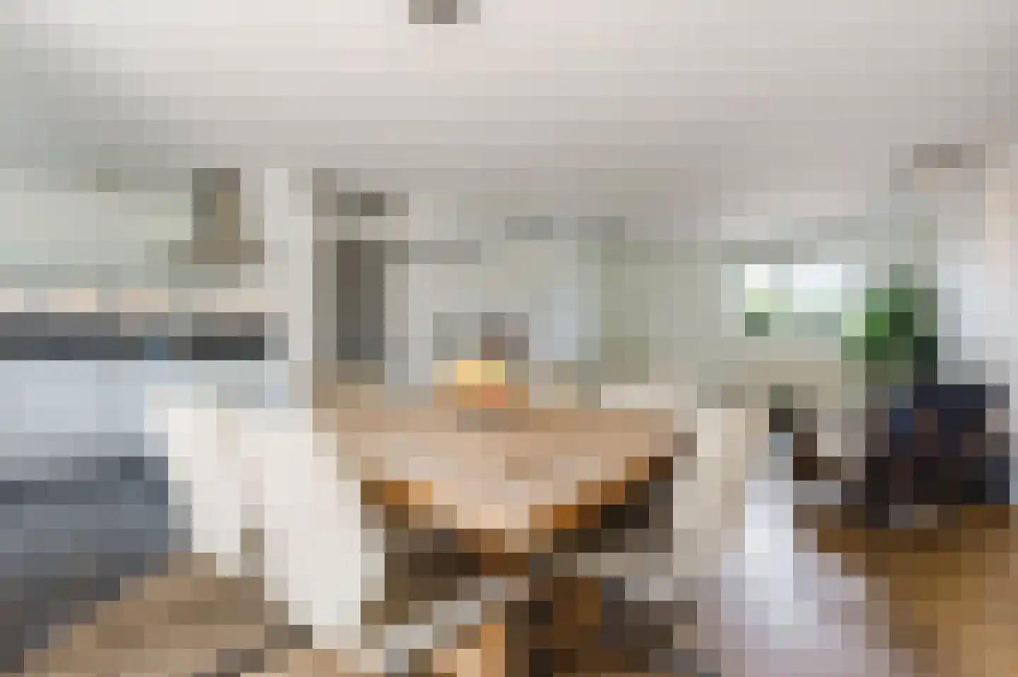 Vrije Heerlijkheid 81 Assendelft thumbnail 11