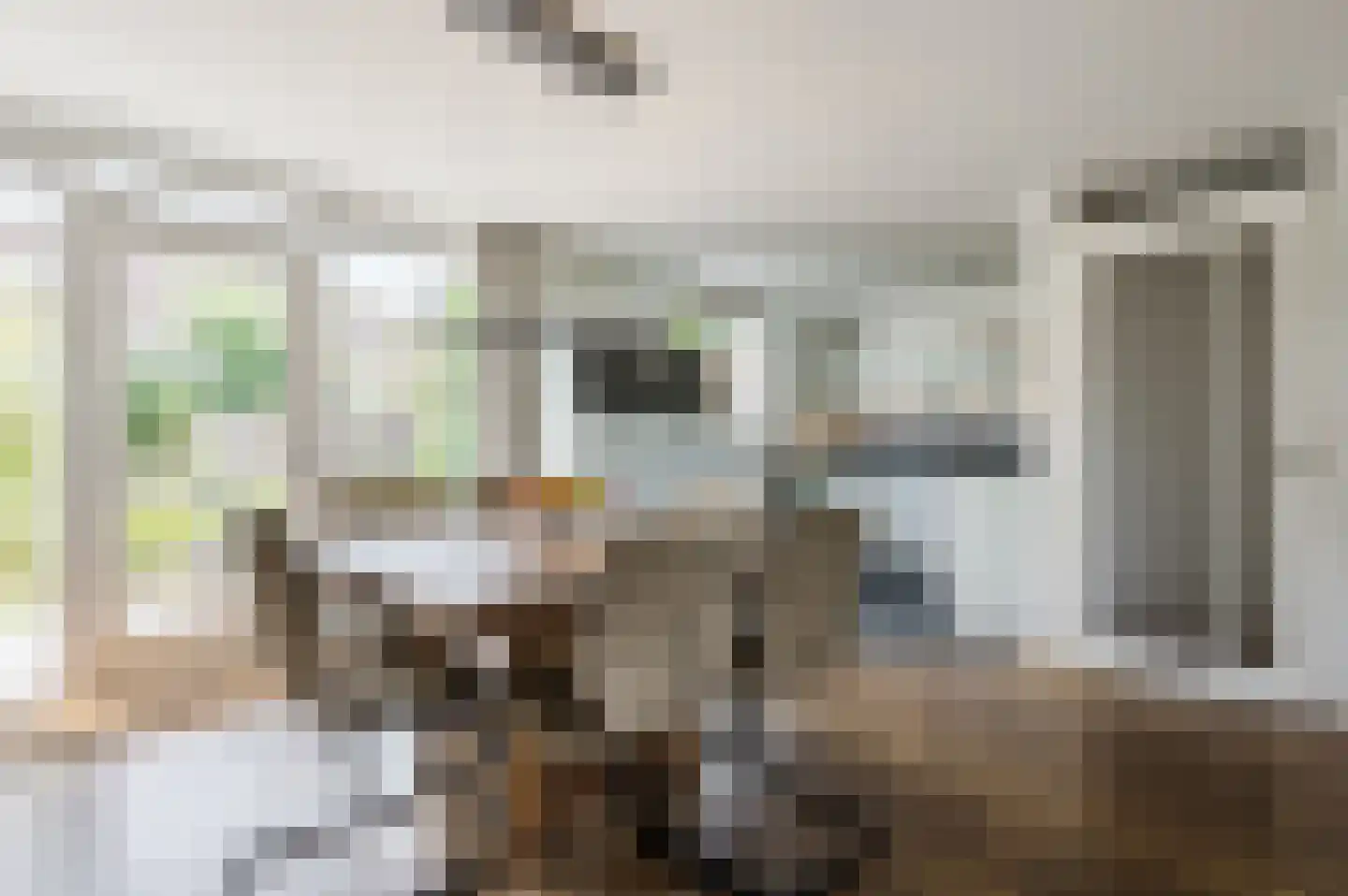 Vrije Heerlijkheid 81 Assendelft thumbnail 12
