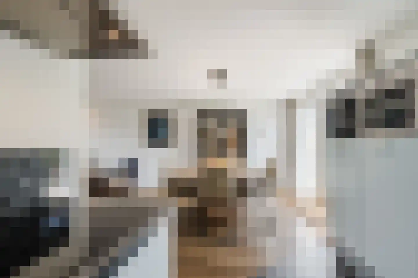 Vrije Heerlijkheid 81 Assendelft thumbnail 16