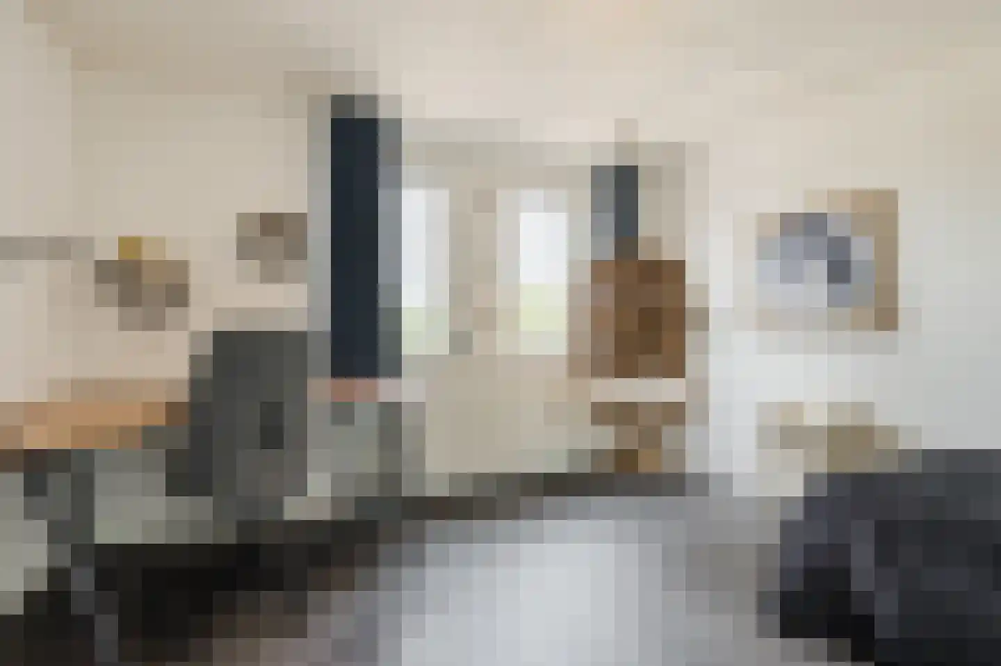 Vrije Heerlijkheid 81 Assendelft thumbnail 19