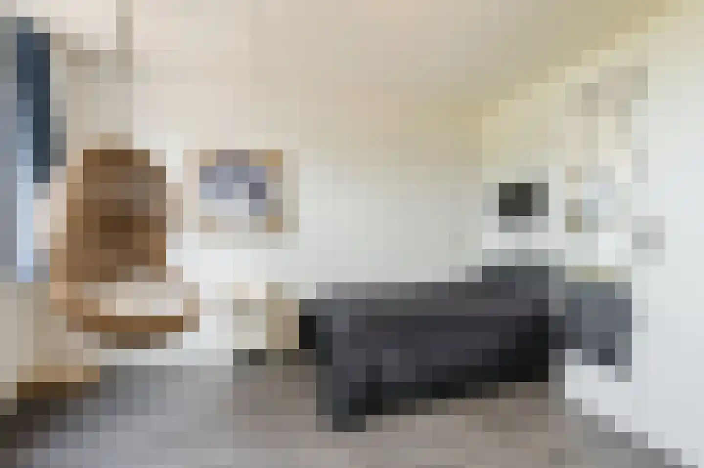 Vrije Heerlijkheid 81 Assendelft thumbnail 20