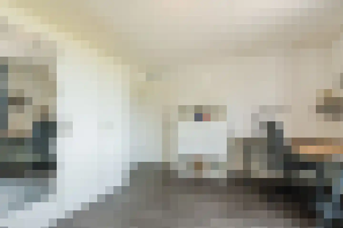 Vrije Heerlijkheid 81 Assendelft thumbnail 21