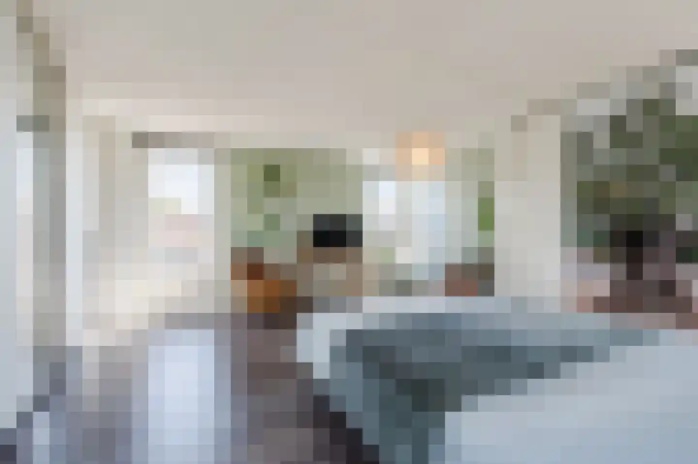 Vrije Heerlijkheid 81 Assendelft thumbnail 34