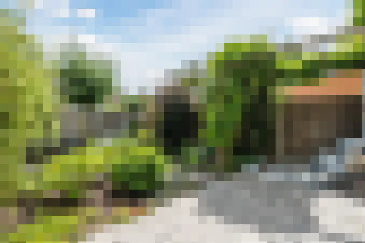 Vrije Heerlijkheid 81 Assendelft thumbnail 40