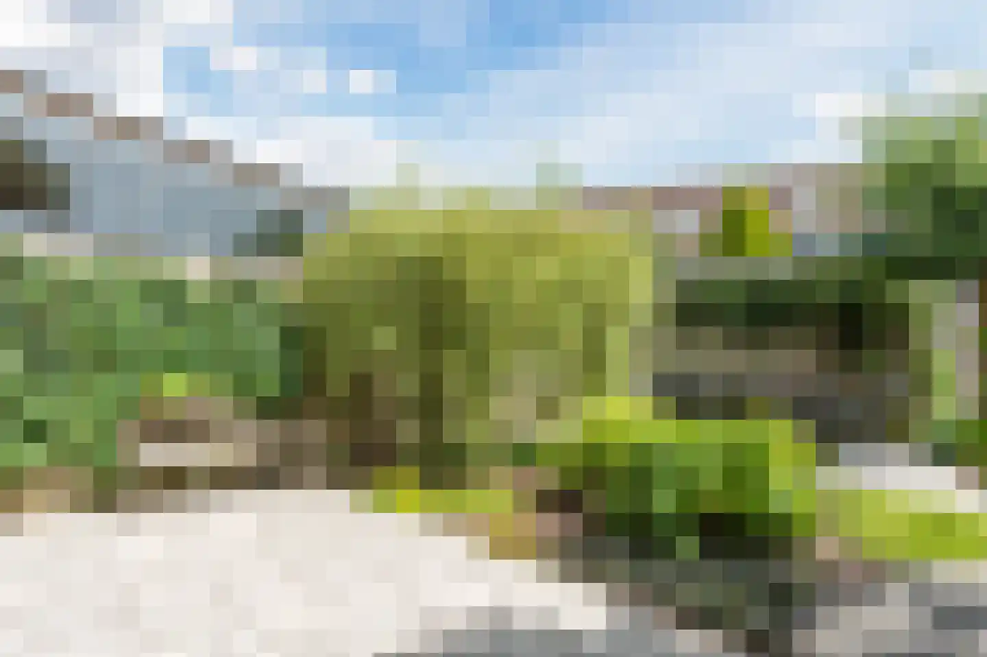 Vrije Heerlijkheid 81 Assendelft thumbnail 41