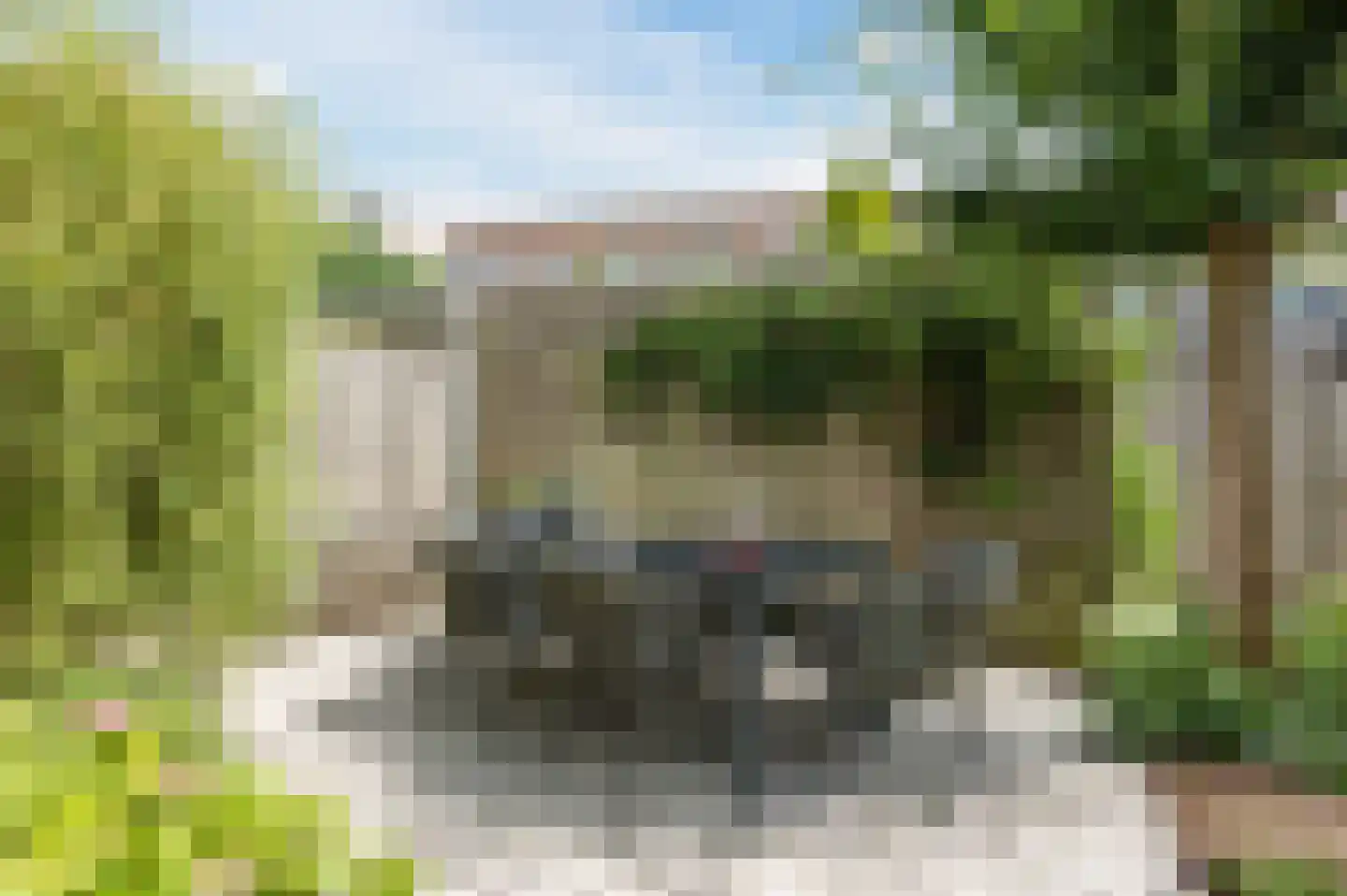 Vrije Heerlijkheid 81 Assendelft thumbnail 42