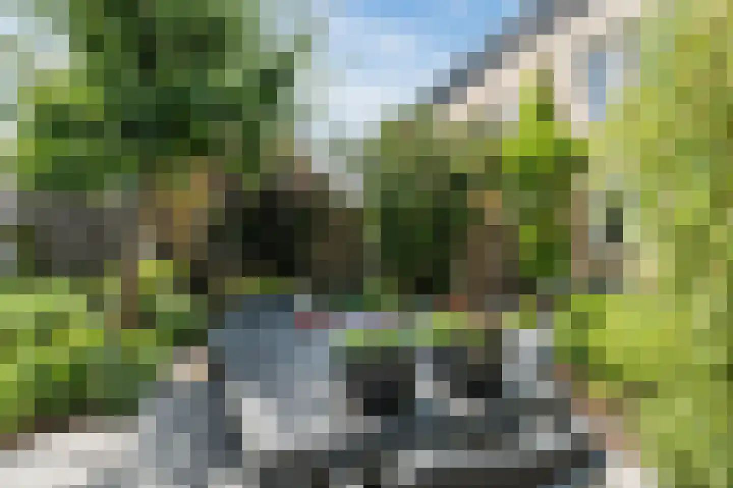Vrije Heerlijkheid 81 Assendelft thumbnail 44