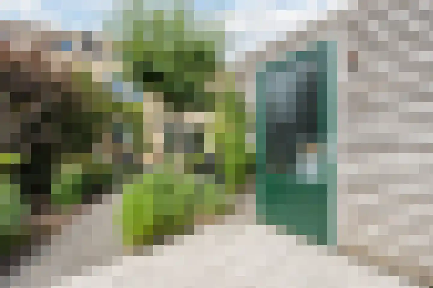 Vrije Heerlijkheid 81 Assendelft thumbnail 45