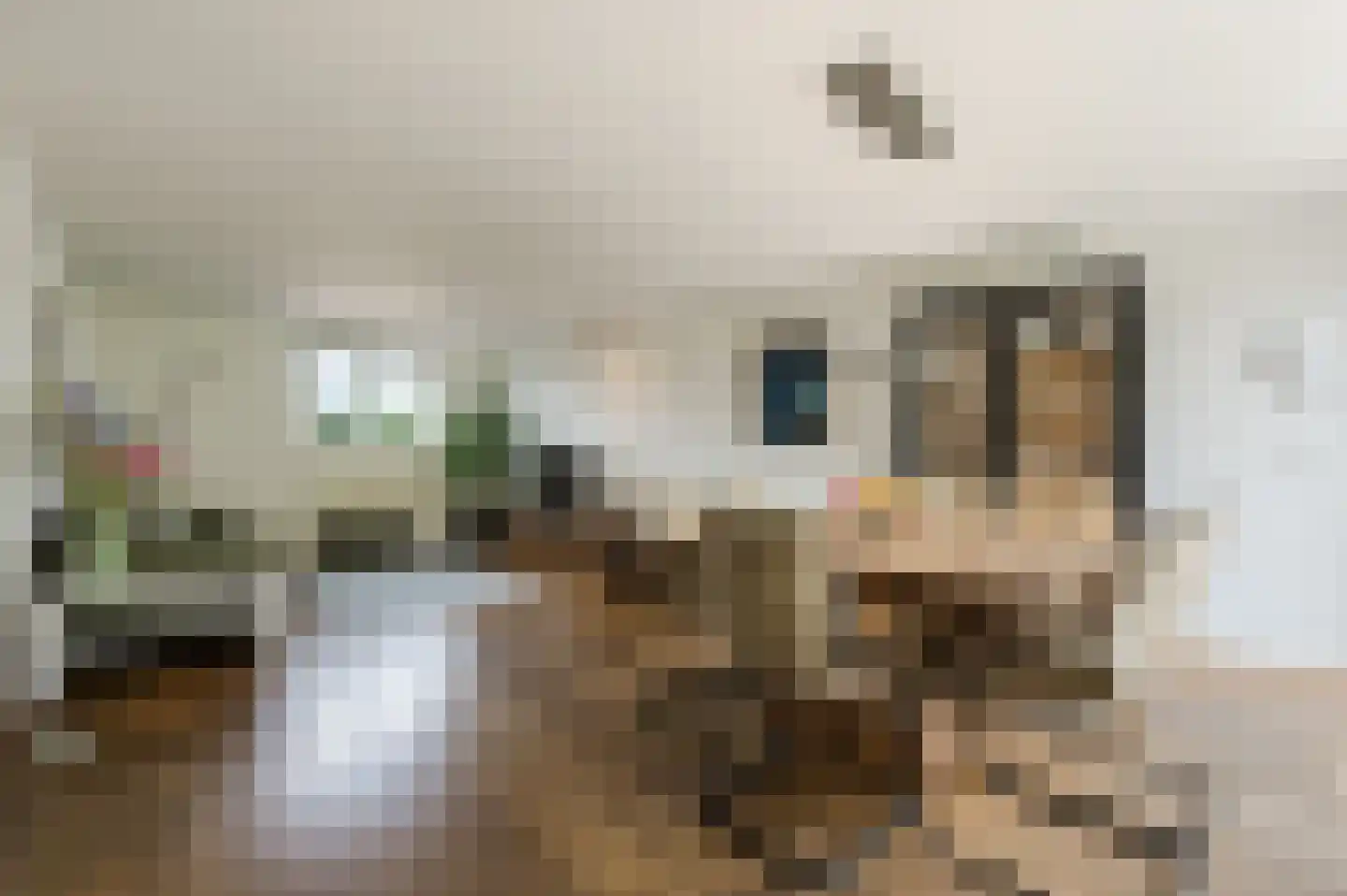 Vrije Heerlijkheid 81 Assendelft thumbnail 8