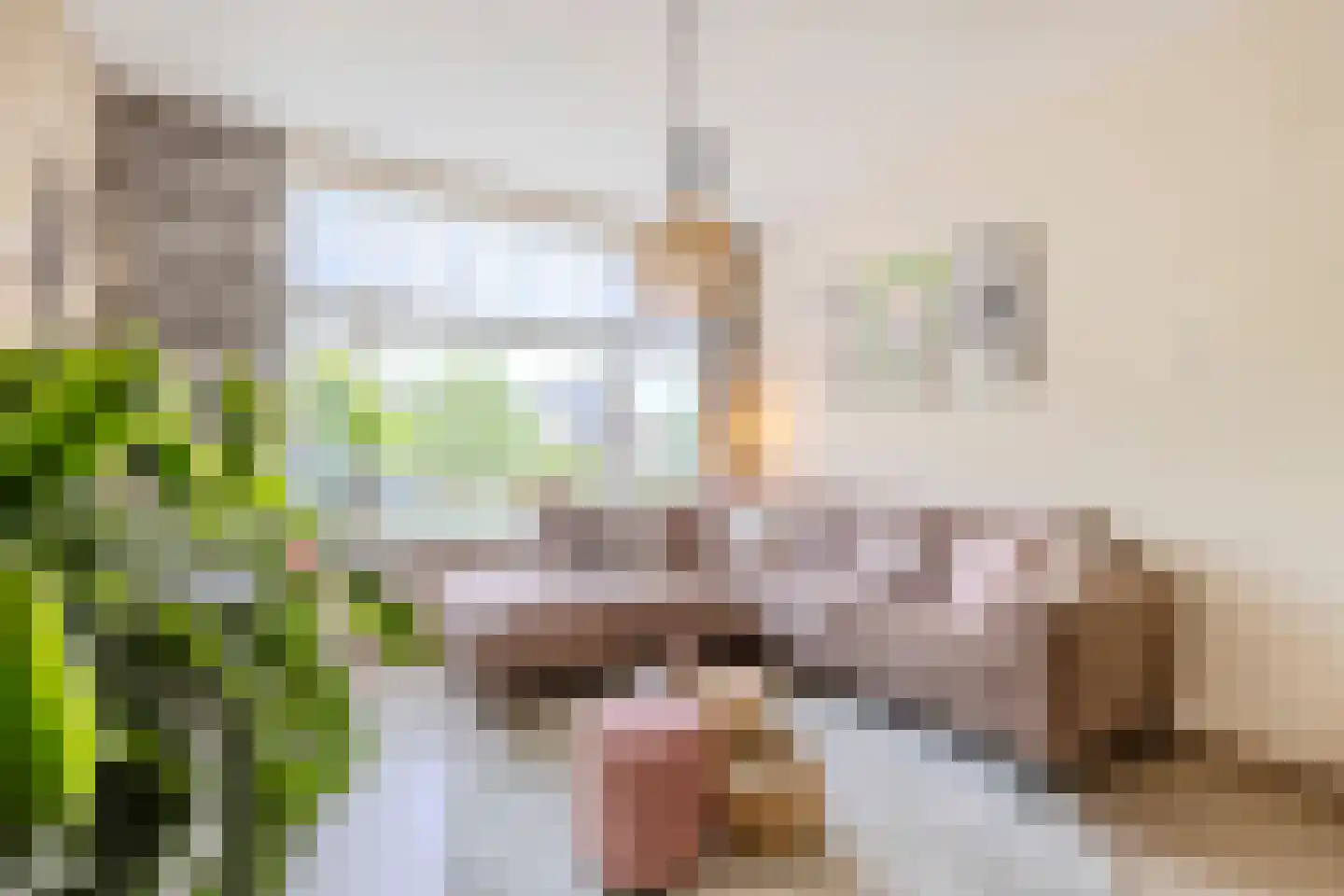 Vrije Nesse 13 Bodegraven thumbnail 14