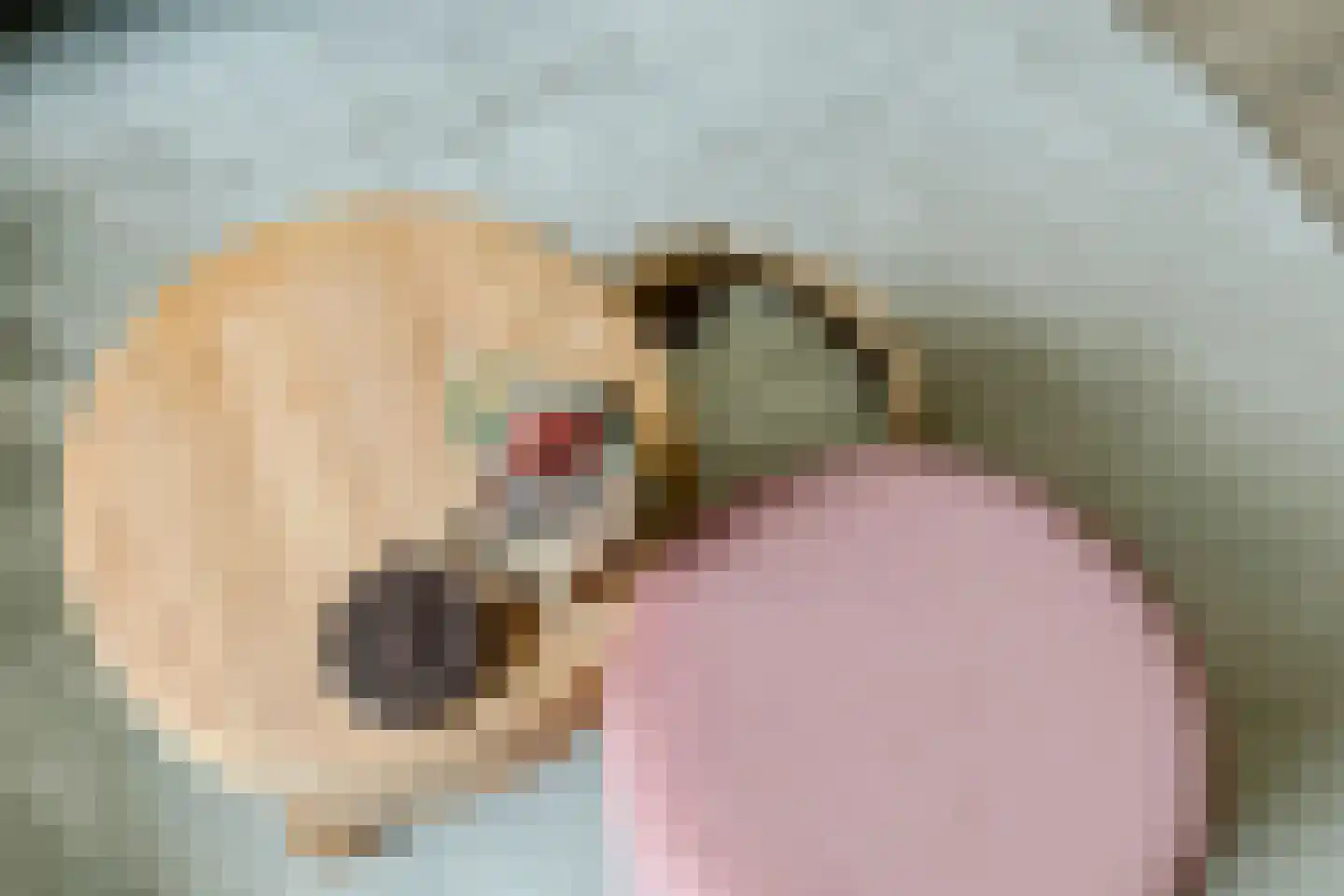 Vrije Nesse 13 Bodegraven thumbnail 22