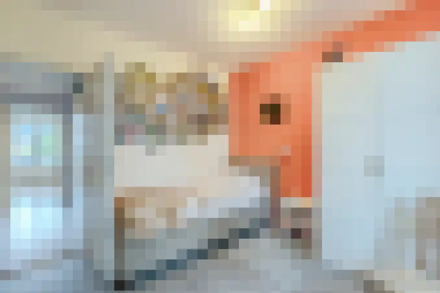Vrije Nesse 13 Bodegraven thumbnail 28