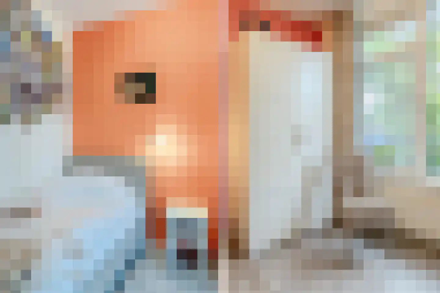 Vrije Nesse 13 Bodegraven thumbnail 29