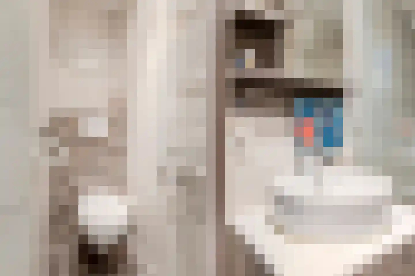 Vrije Nesse 13 Bodegraven thumbnail 32
