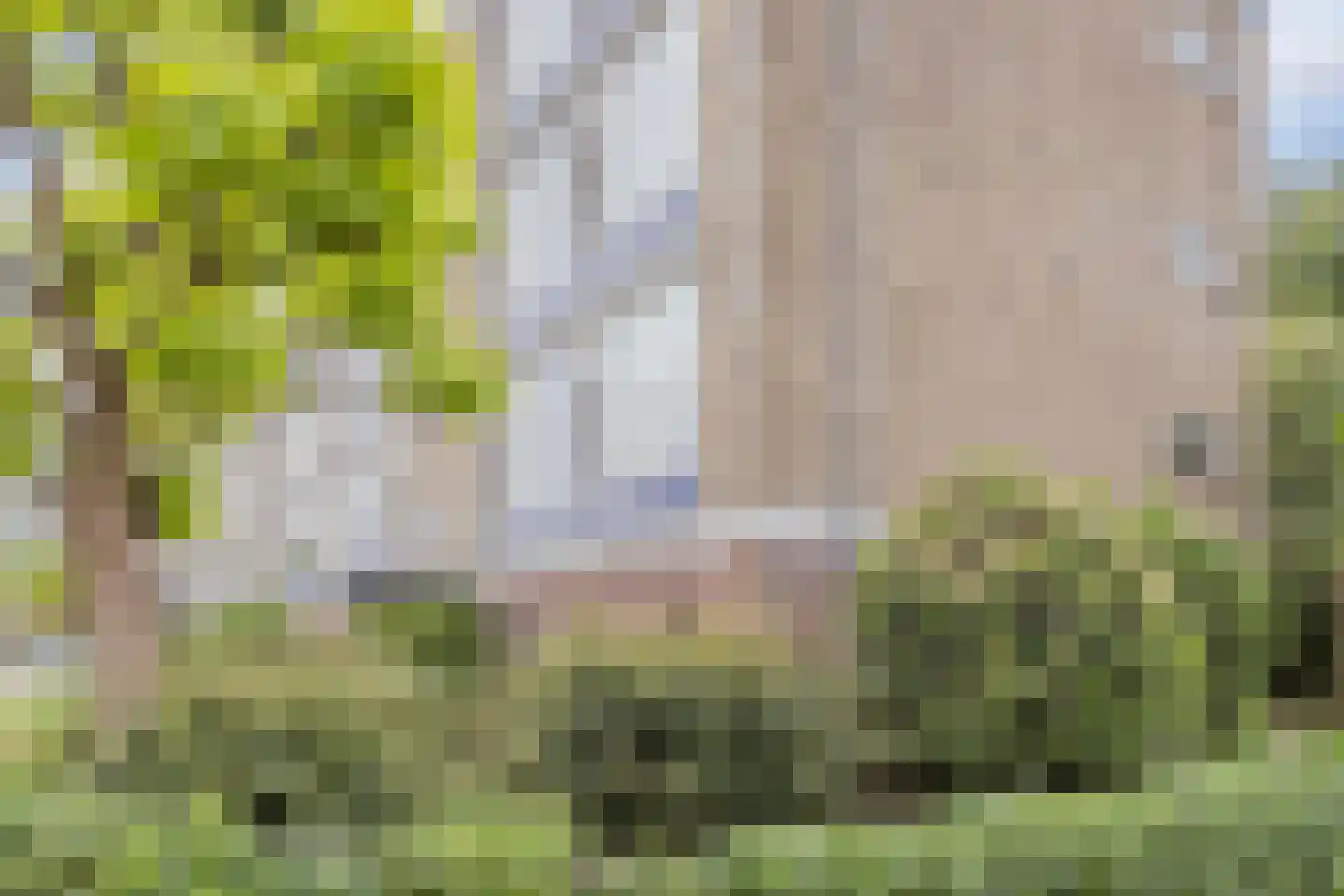 Vrije Nesse 13 Bodegraven thumbnail 37