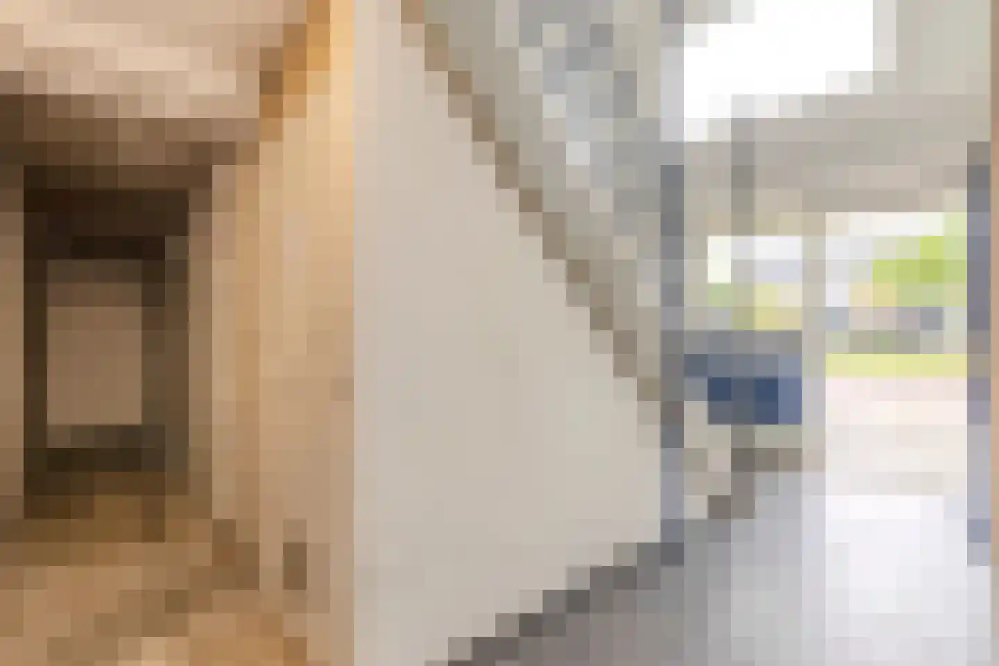 Vrije Nesse 13 Bodegraven thumbnail 9