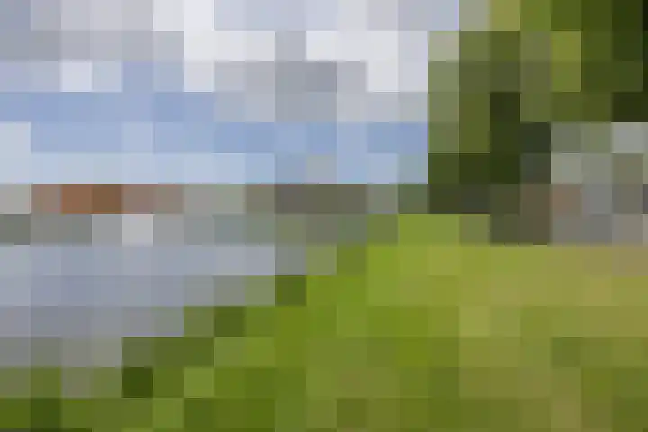 Vrije Nesse 20 Bodegraven thumbnail 28