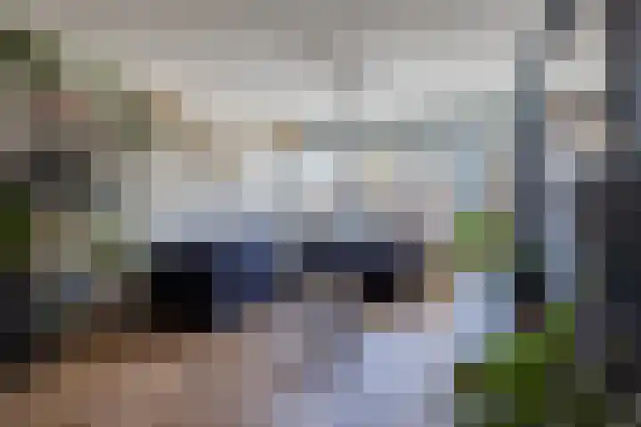 Vrije Nesse 20 Bodegraven thumbnail 8