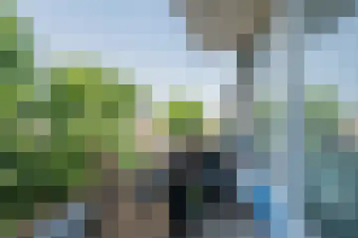 Vrije Nesse 39 Bodegraven thumbnail 22