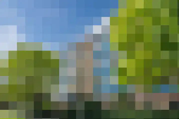 Vrije Nesse 39 Bodegraven thumbnail 34
