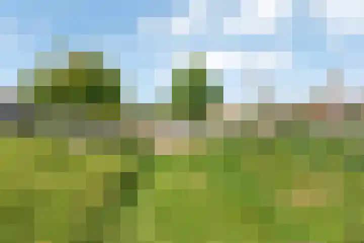 Vrije Nesse 39 Bodegraven thumbnail 37