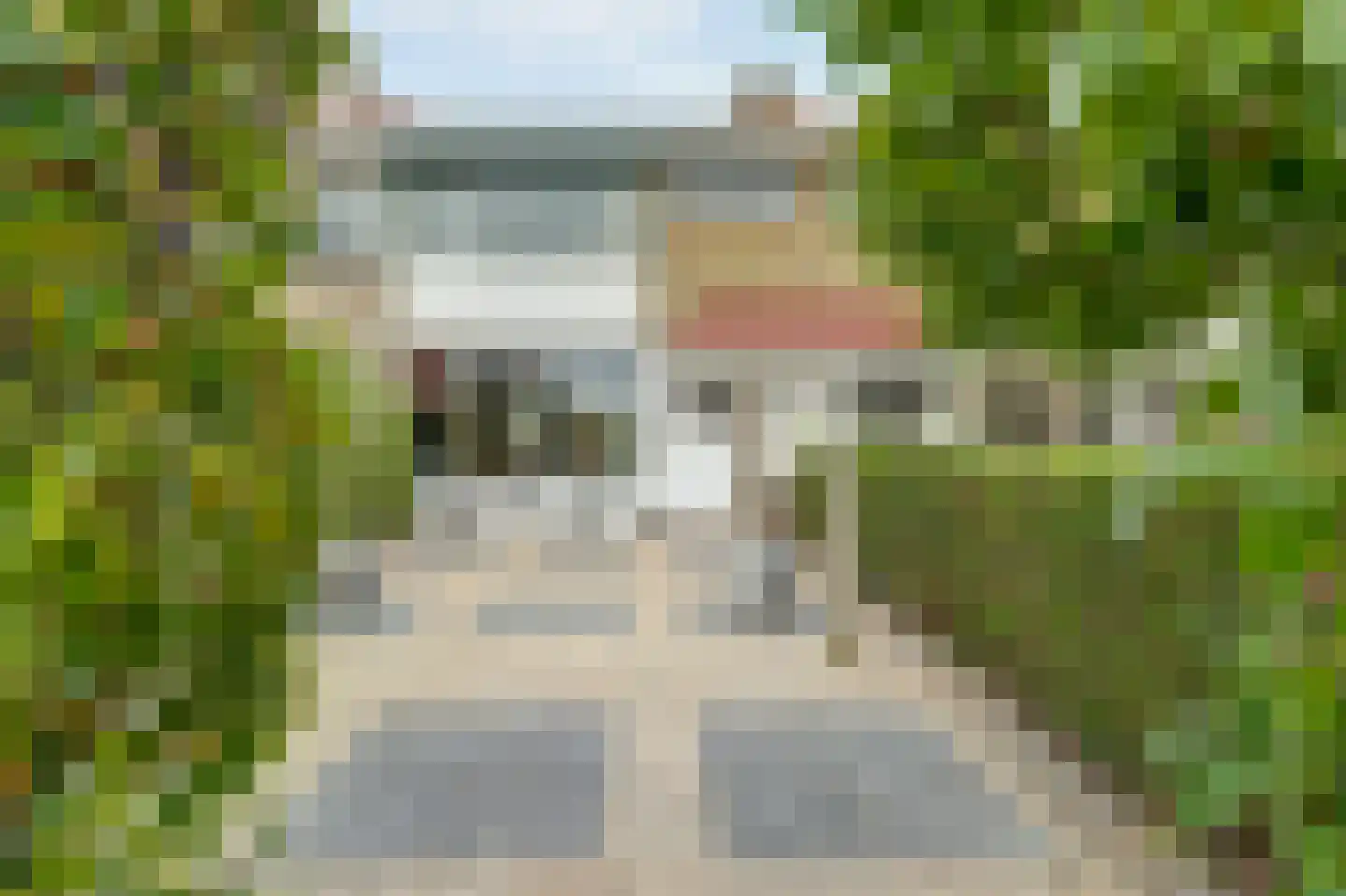 Vrije Nesse 50 in Bodegraven