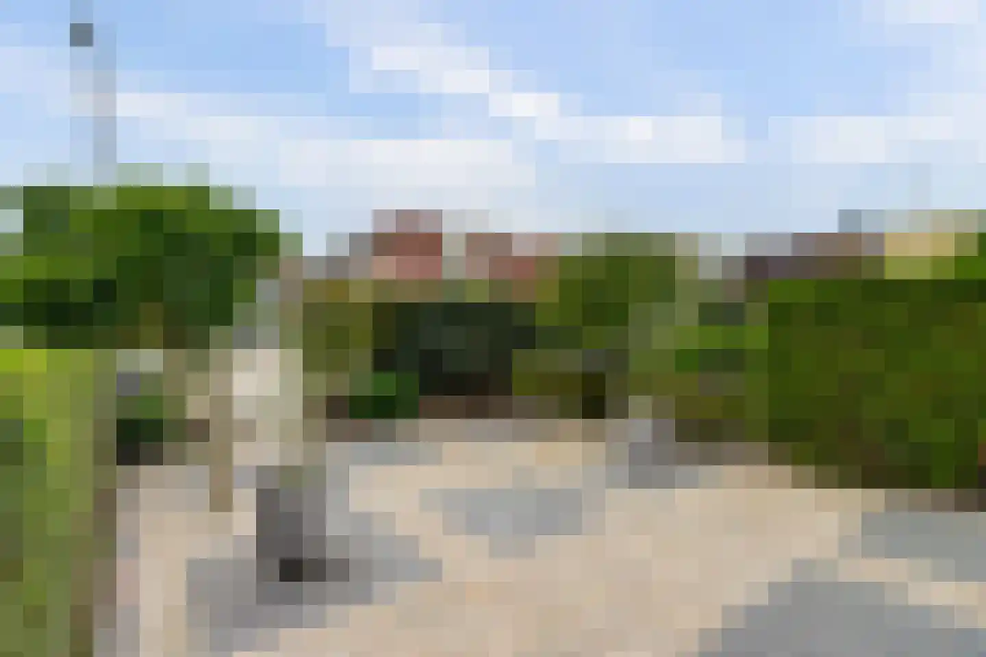 Vrije Nesse 50 Bodegraven thumbnail 13