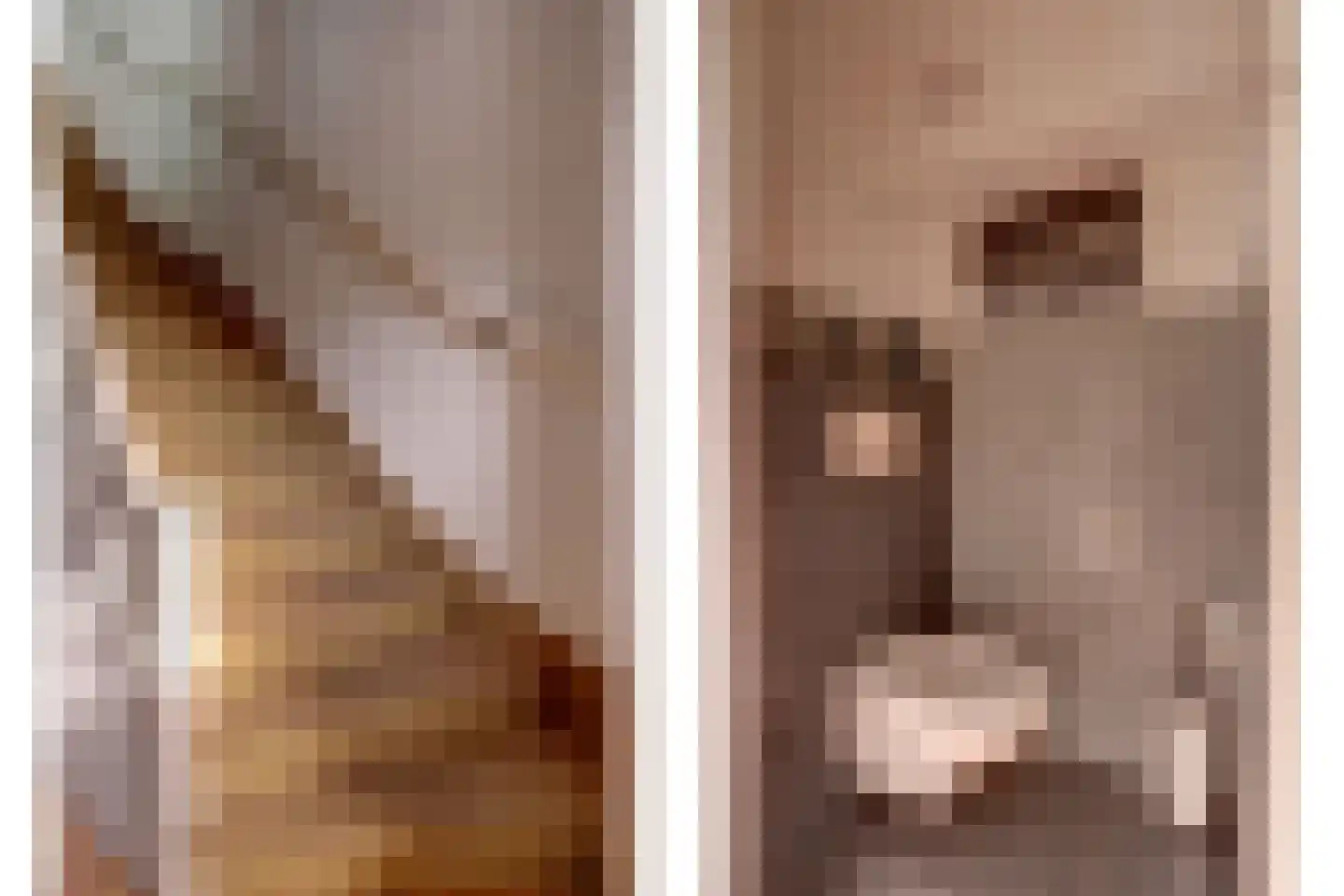 Vrije Nesse 50 Bodegraven thumbnail 15