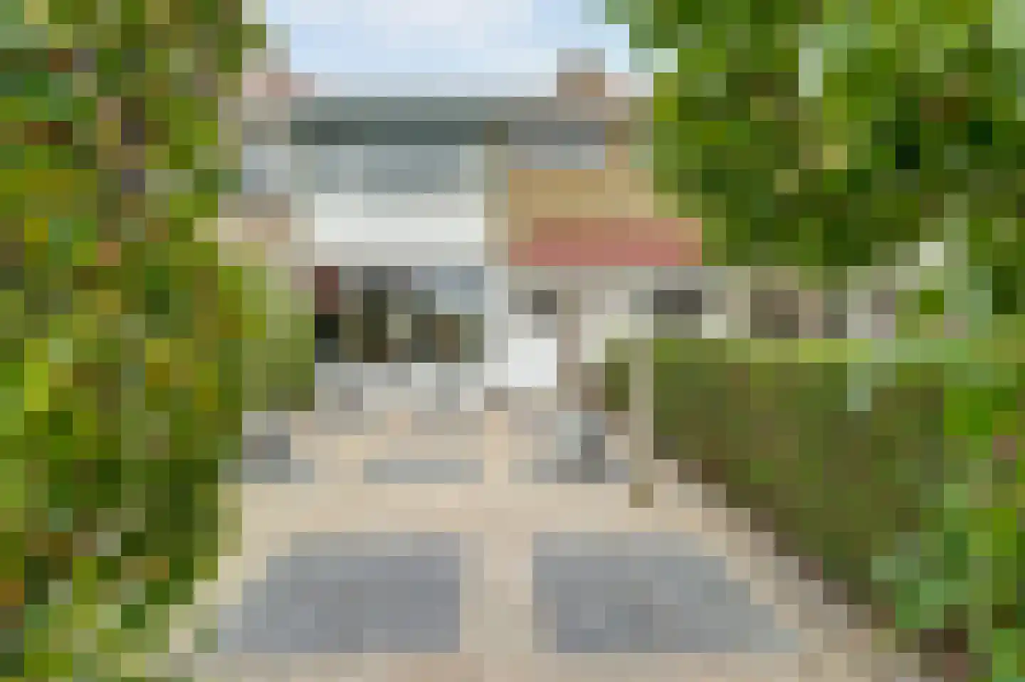 Vrije Nesse 50 Bodegraven foto 2