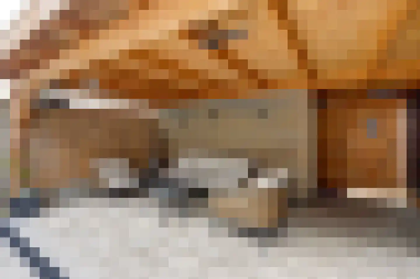Vrije Nesse 50 Bodegraven thumbnail 22