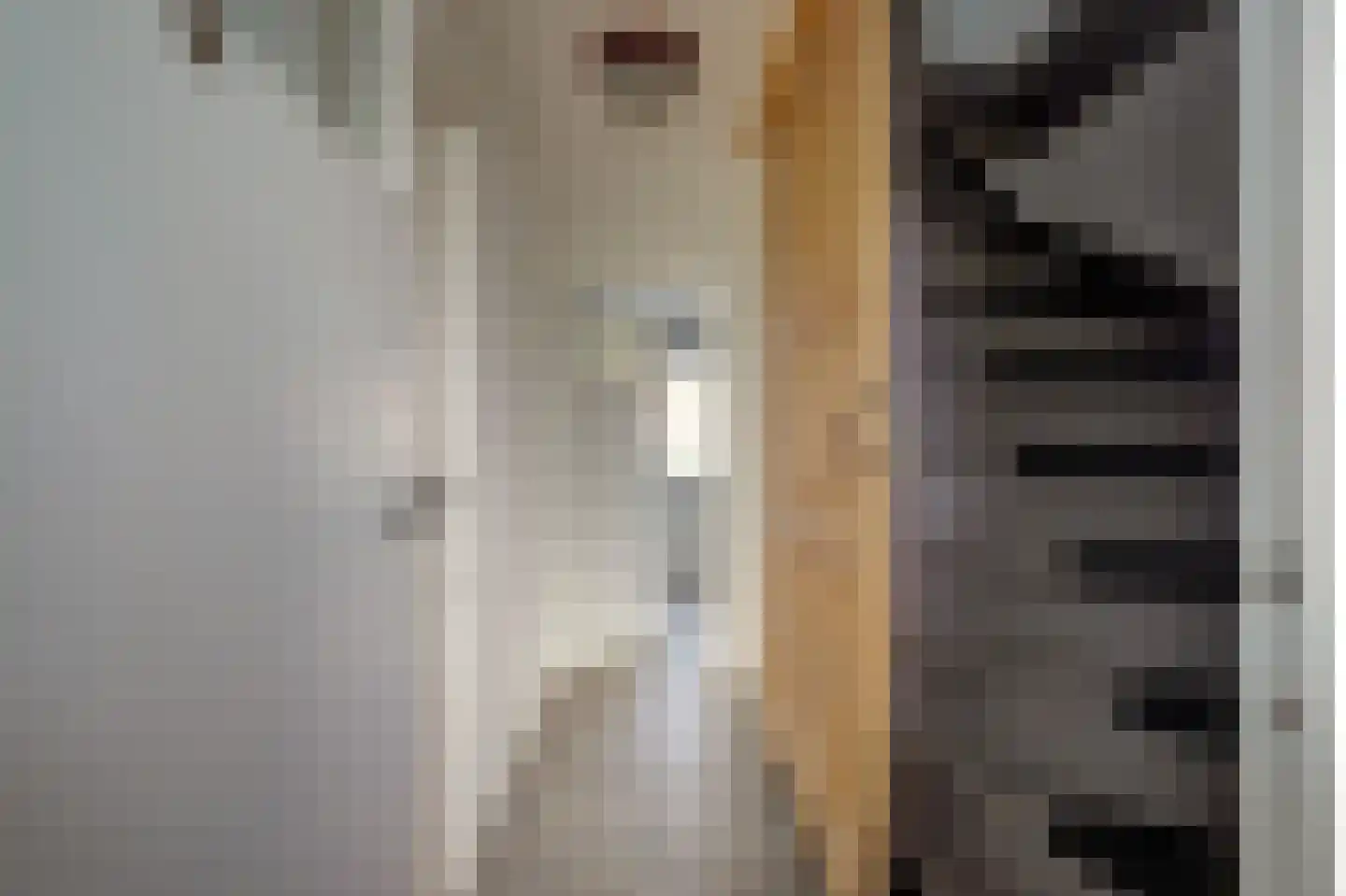 Vrije Nesse 50 Bodegraven thumbnail 25