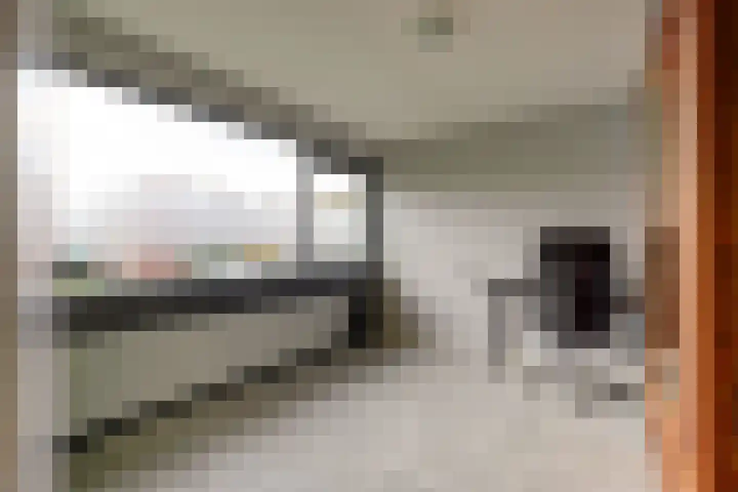 Vrije Nesse 50 Bodegraven thumbnail 29
