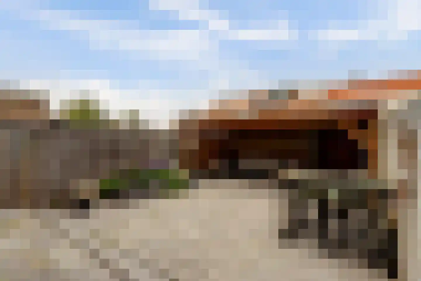Vrije Nesse 50 Bodegraven foto 3