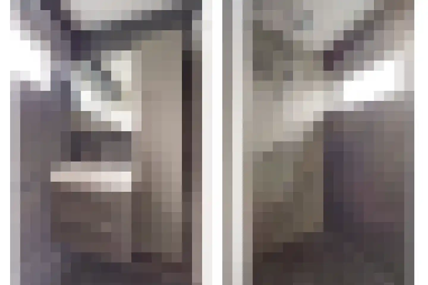 Vrije Nesse 50 Bodegraven thumbnail 31