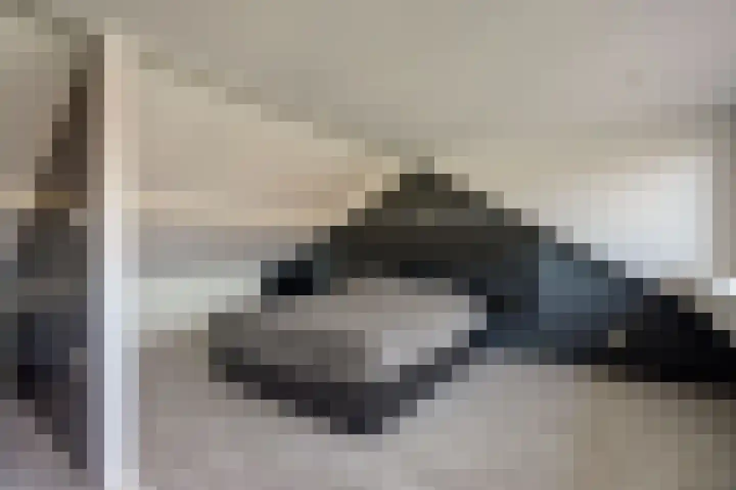 Vrije Nesse 50 Bodegraven thumbnail 33