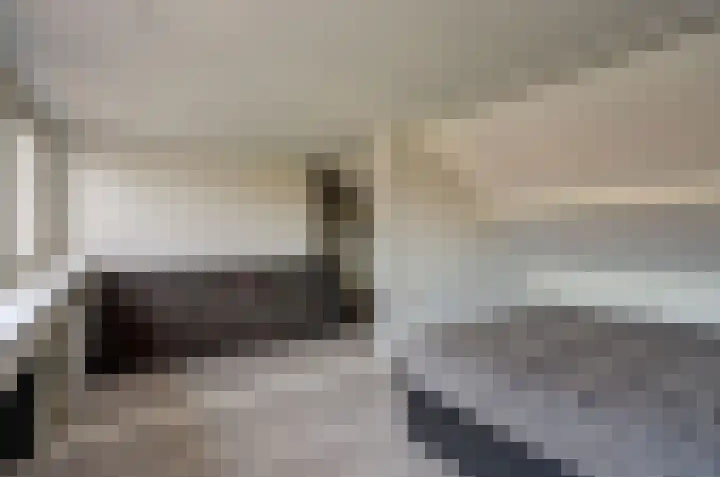 Vrije Nesse 50 Bodegraven thumbnail 34