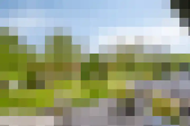 Vrije Vogellaan 78 Almere thumbnail 29