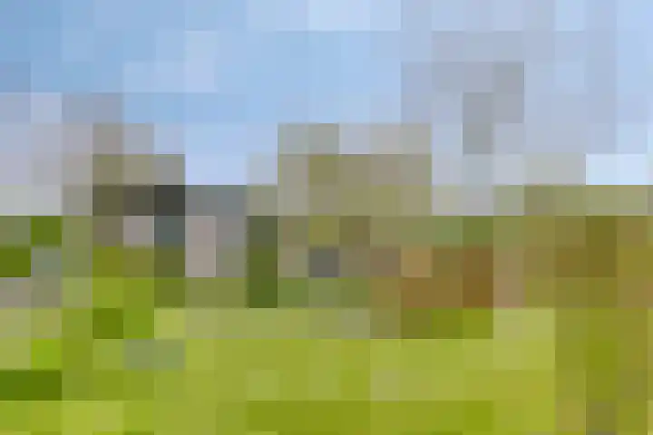 Vrije Vogellaan 78 Almere thumbnail 30