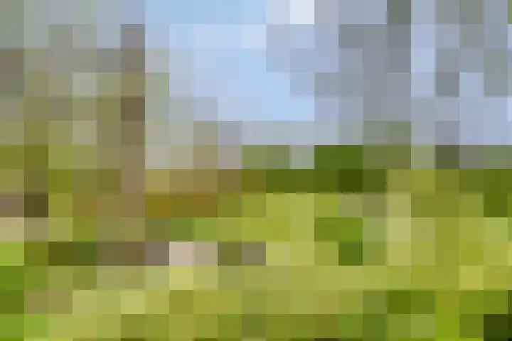 Vrije Vogellaan 78 Almere thumbnail 31