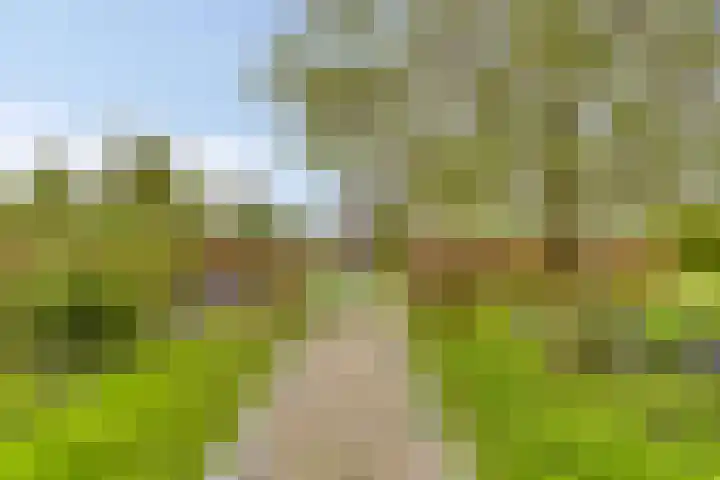 Vrije Vogellaan 78 Almere thumbnail 32