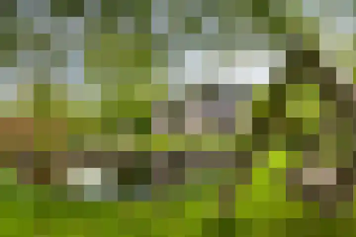 Vrije Vogellaan 78 Almere thumbnail 33