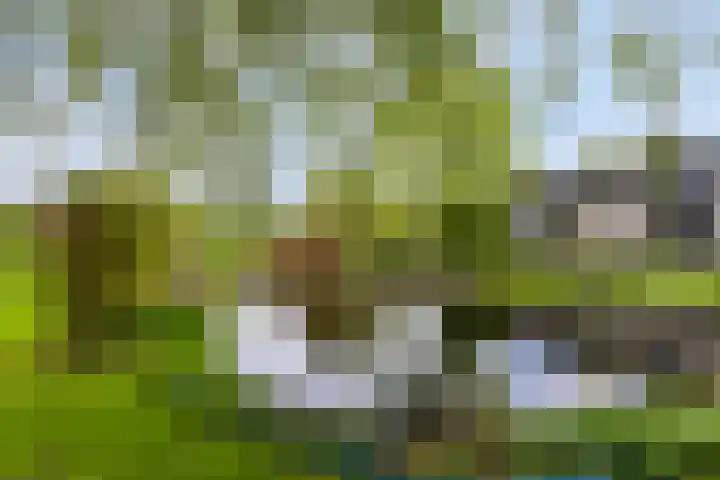 Vrije Vogellaan 78 Almere thumbnail 34