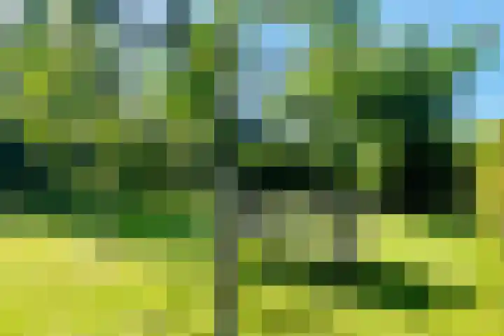 Vrije Vogellaan 78 Almere thumbnail 36
