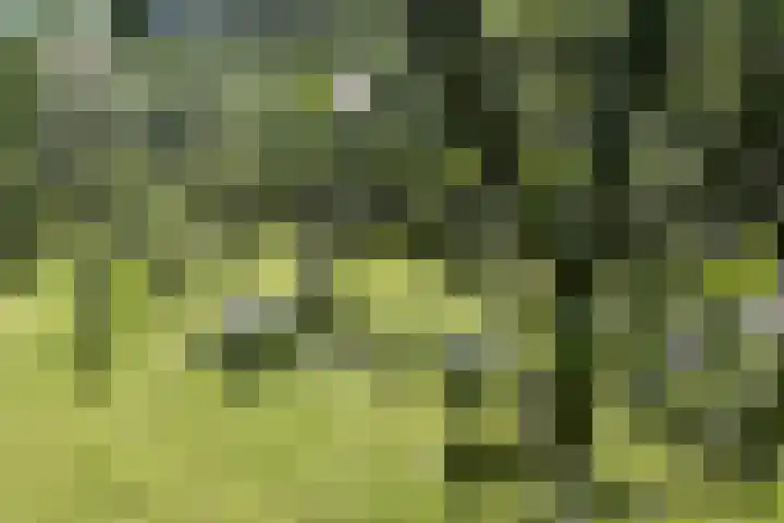 Vrije Vogellaan 78 Almere thumbnail 39