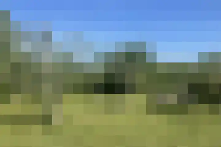 Vrije Vogellaan 78 Almere thumbnail 40