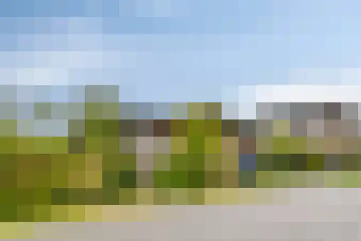Vrije Vogellaan 78 Almere thumbnail 41