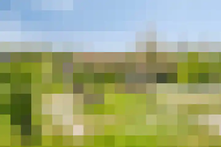 Vrije Vogellaan 78 Almere thumbnail 42