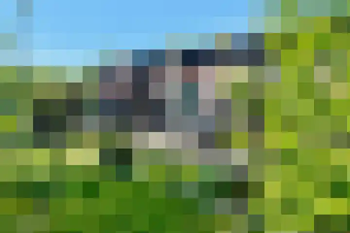 Vrije Vogellaan 78 Almere thumbnail 46
