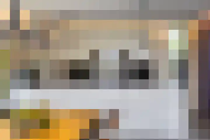 Vrije Vogellaan 78 Almere thumbnail 9